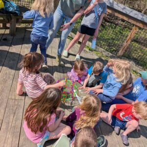 Root to Rise Academy Registration